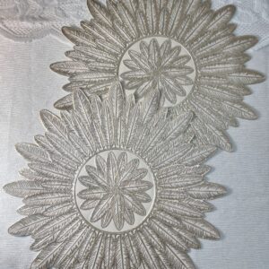 كوستر باللون السكني والفضي